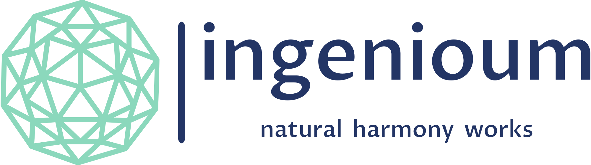 Ingenioum logo
